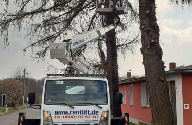 LKW-Arbeitsbühne für Baumverschnitt mieten